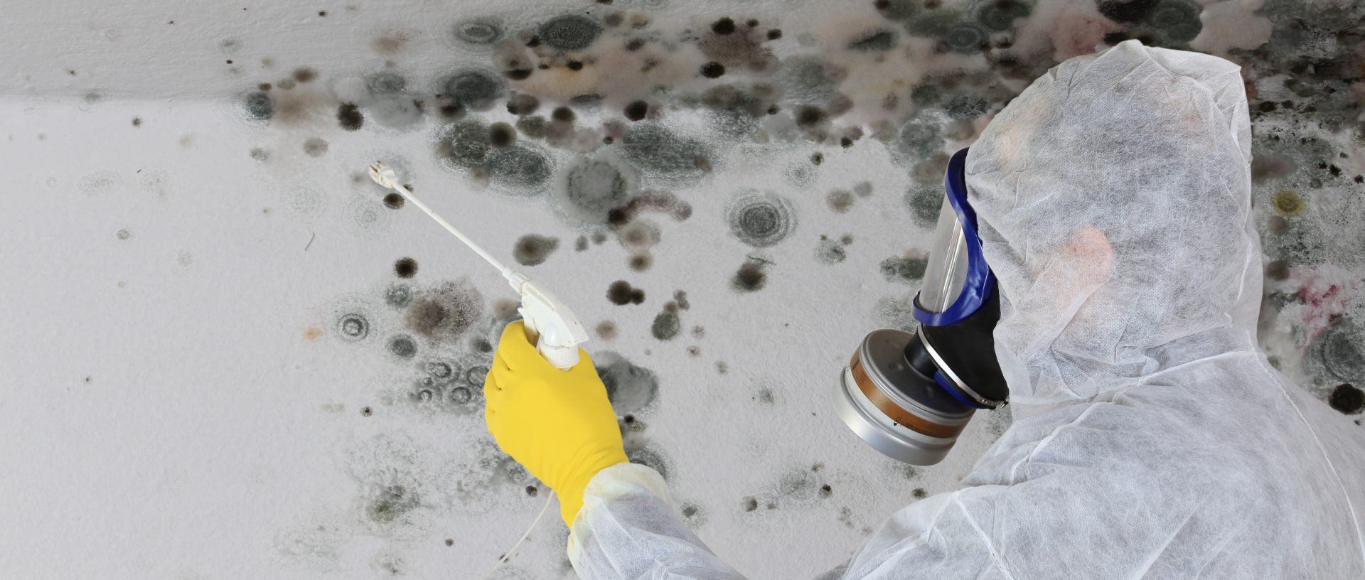 Mold Mayhem: Moisture, Mustiness and Mycotoxins